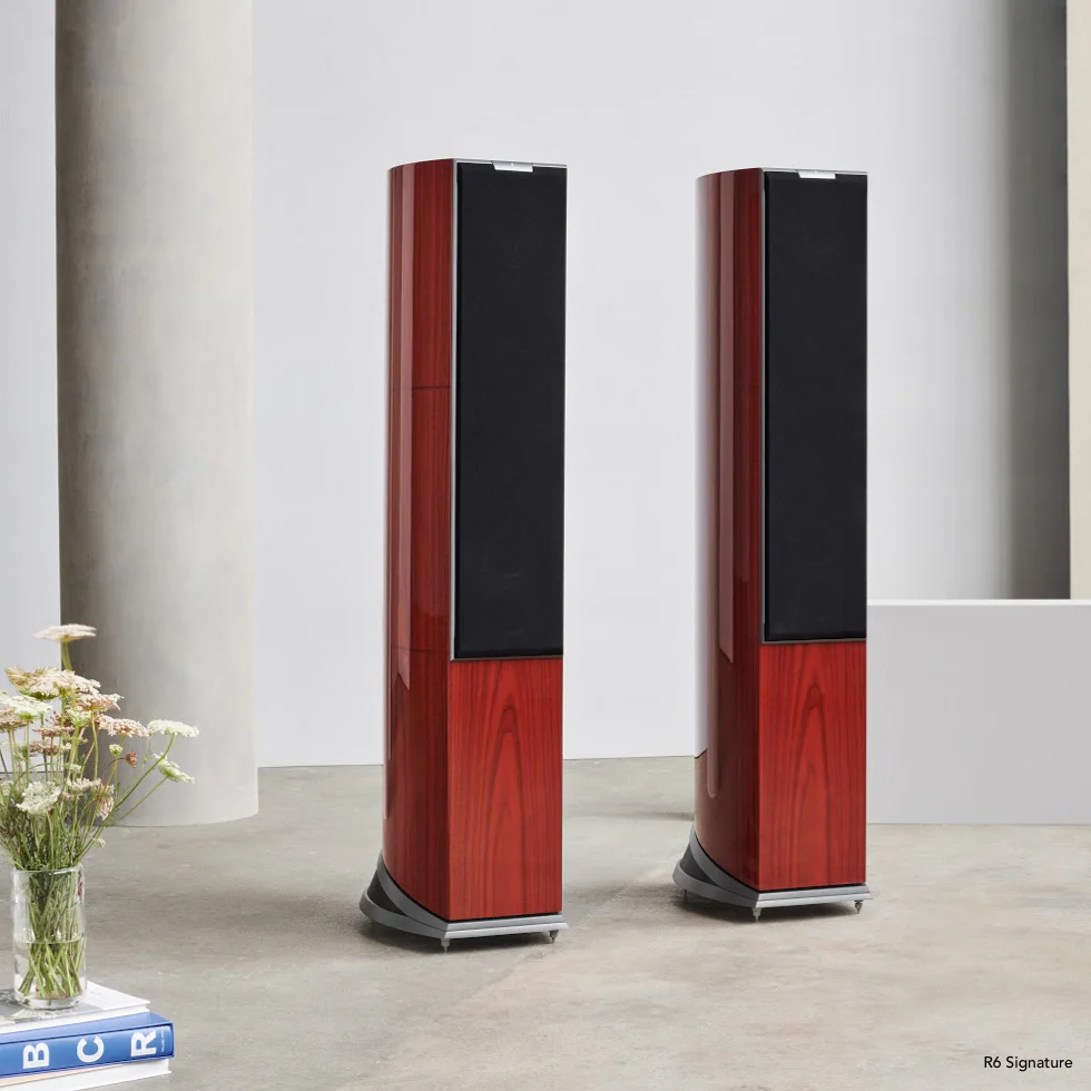 AUDIOVECTOR R6 SIGNATURE - Image 2